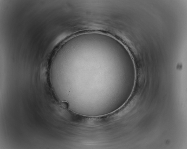 X0000103331163200809051203