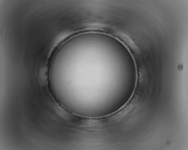 X0000103331164200809051203