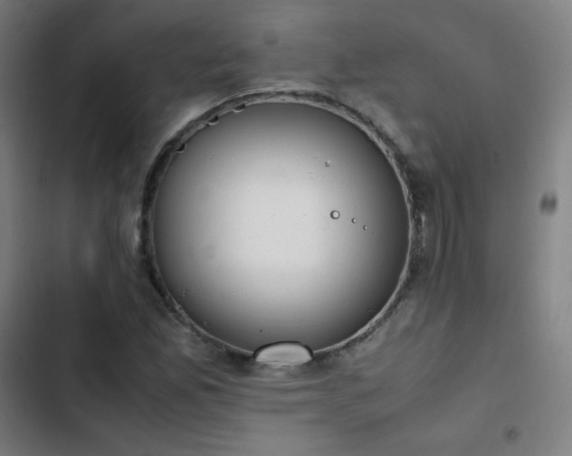 X0000103331165200809051203