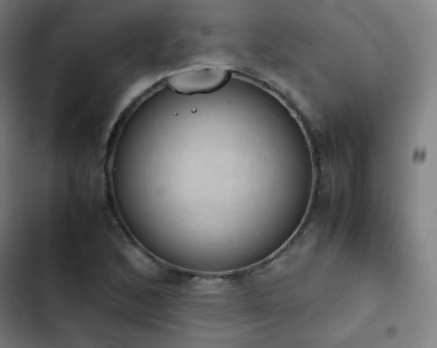 X0000103331168200809051203