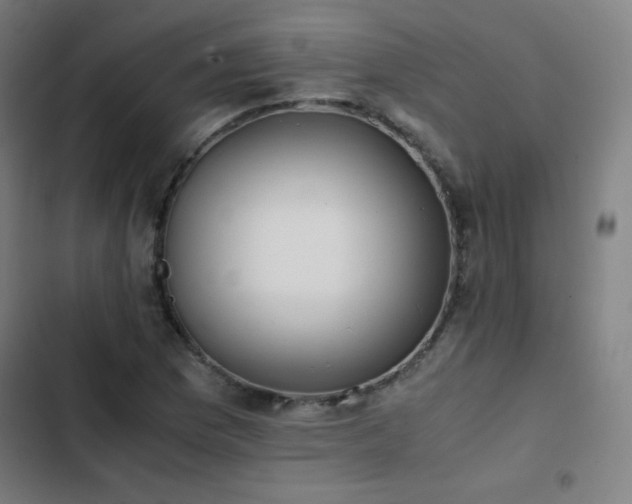X0000103331169200809051203