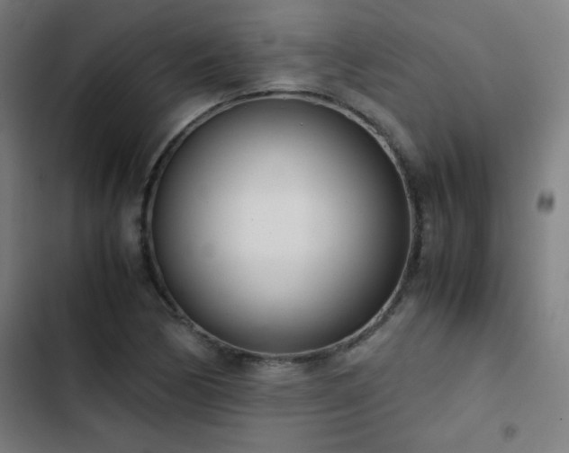 X0000103331170200809051203