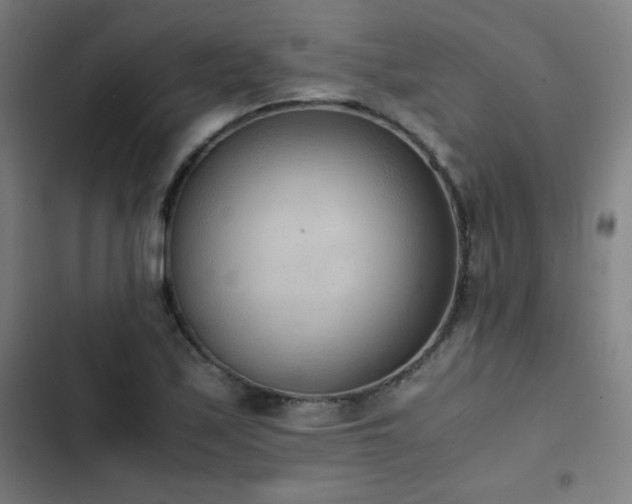 X0000103331171200809051203