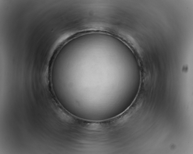 X0000103331172200809051203