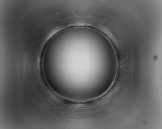 X0000103331173200809051203