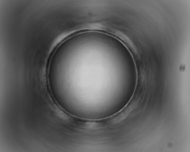 X0000103331176200809051203