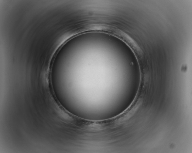 X0000103331178200809051203