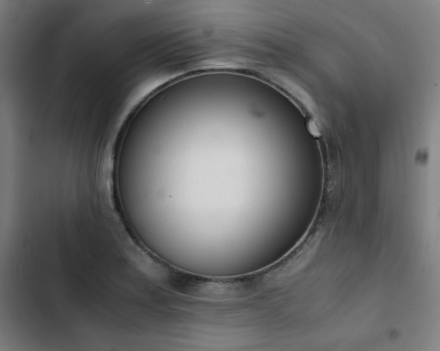 X0000103331179200809051203