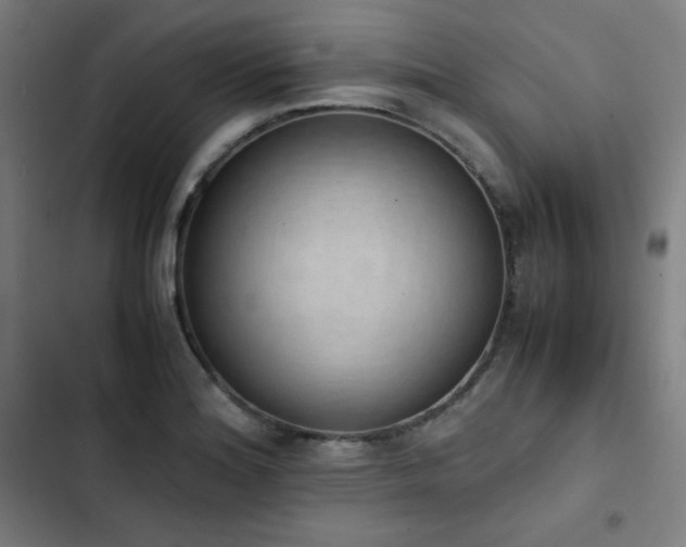 X0000103331180200809051203