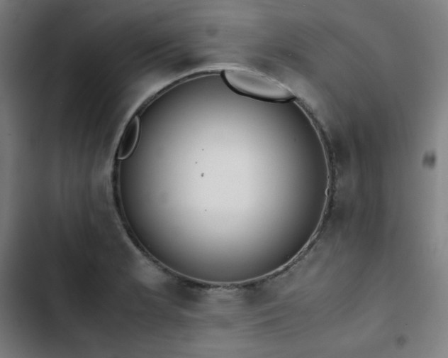 X0000103331181200809051203