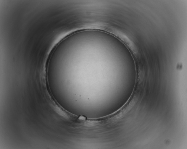 X0000103331184200809051203