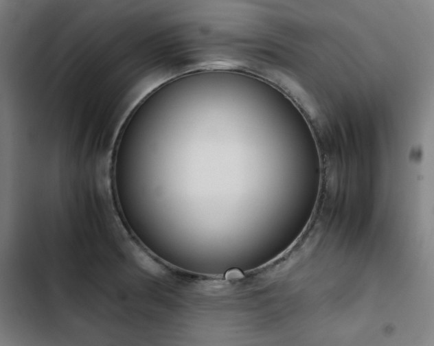 X0000103331186200809051203