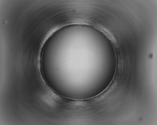 X0000103331188200809051203