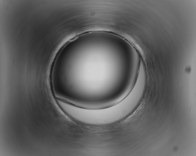 X0000103331189200809051203