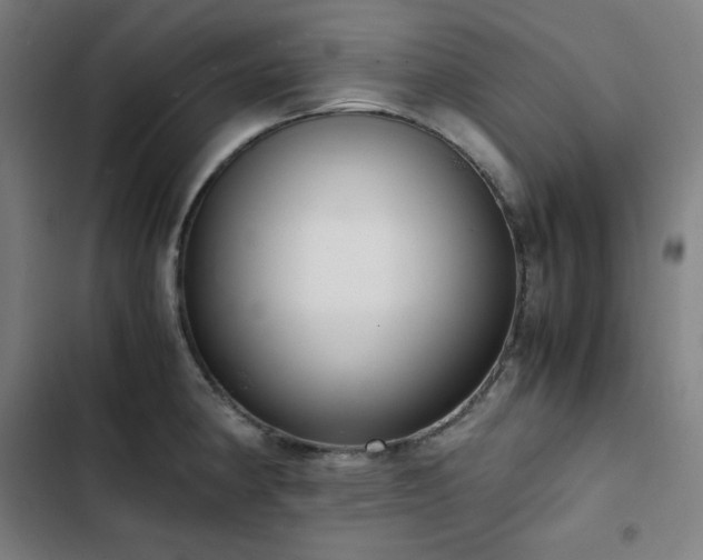 X0000103331190200809051203