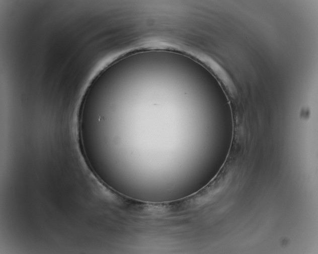 X0000103331191200809051203