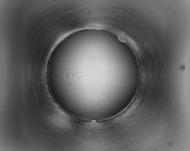 X0000103331192200809051203