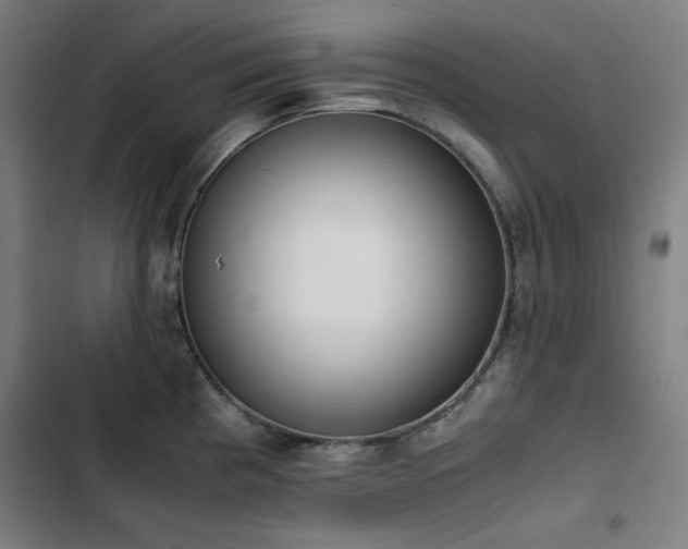 X0000103331193200809051203