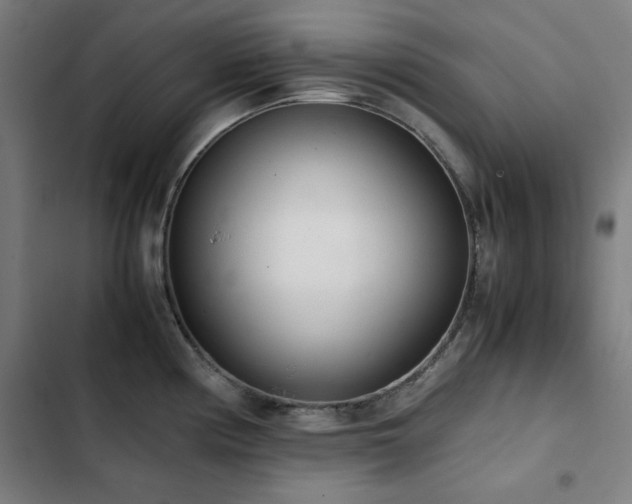 X0000103331194200809051203