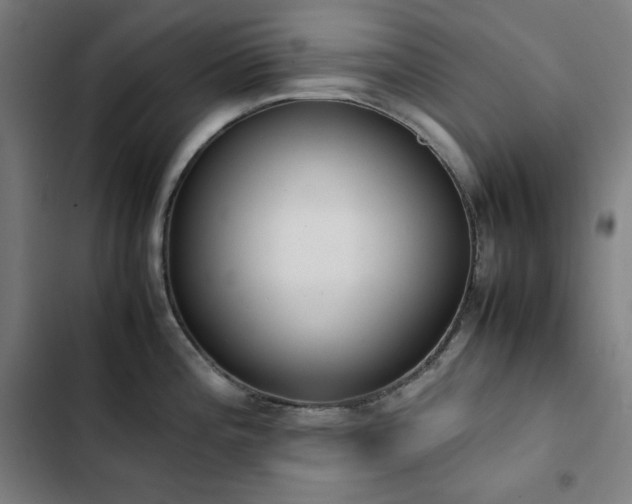 X0000103331196200809051202