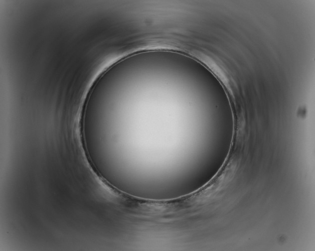 X0000103331197200809051202