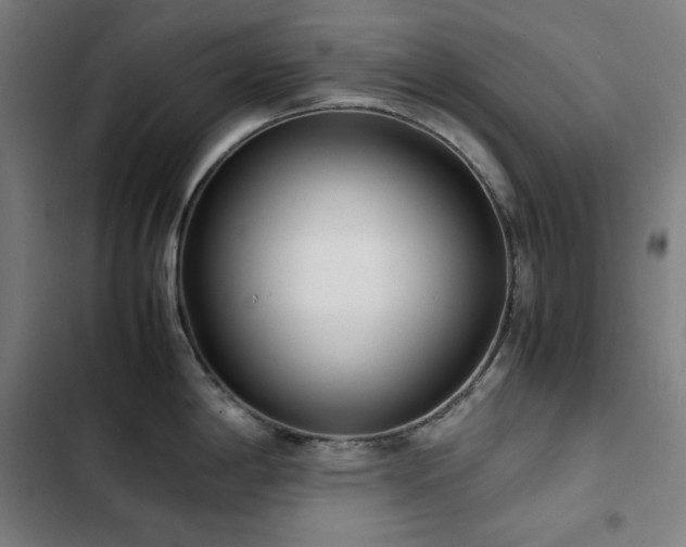 X0000103331198200809051202