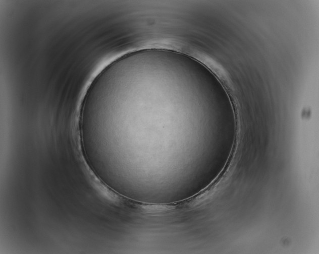 X0000103331200200809051202
