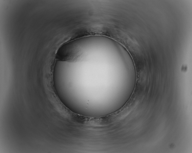 X0000103331201200809051202
