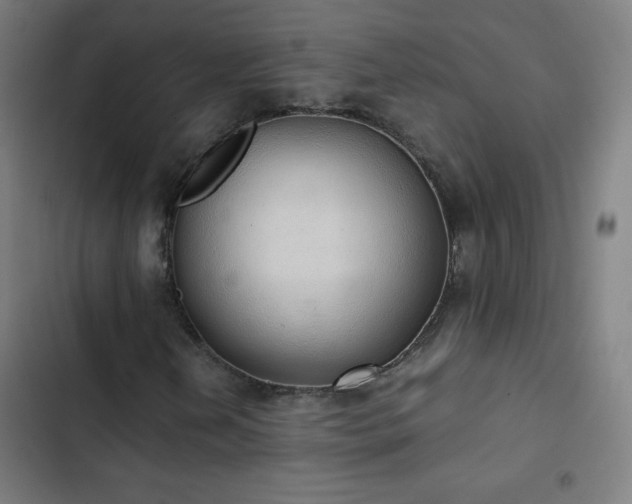 X0000103331202200809051202