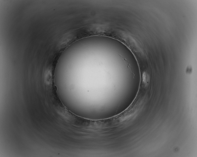 X0000103331203200809051202