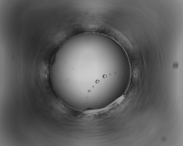 X0000103331204200809051202
