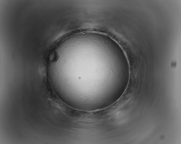 X0000103331206200809051202