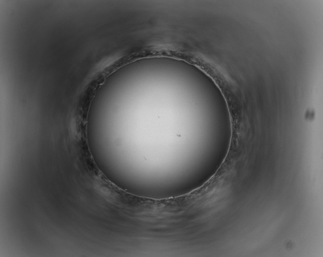 X0000103331207200809051202