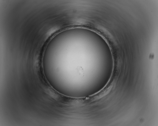 X0000103331210200809051202