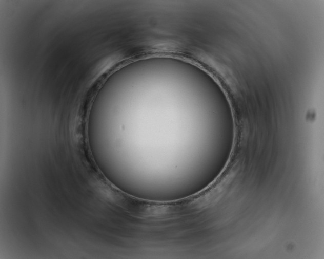 X0000103331211200809051202