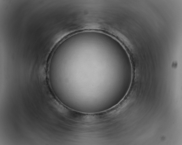 X0000103331212200809051202