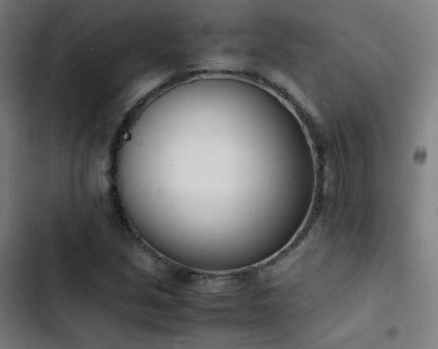 X0000103331213200809051202
