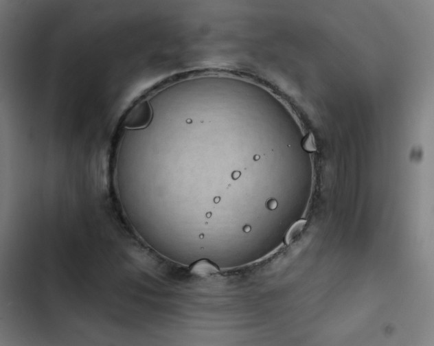 X0000103331214200809051202