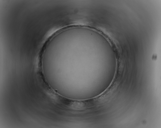 X0000103331215200809051202