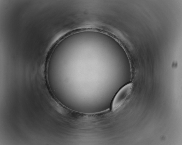 X0000103331216200809051202