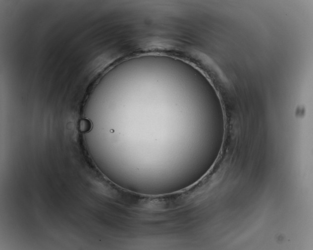 X0000103331217200809051202