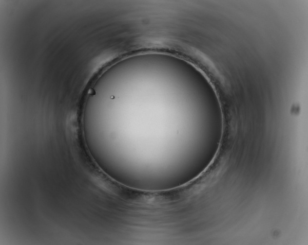 X0000103331218200809051202