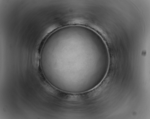 X0000103331219200809051202