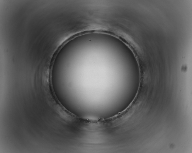 X0000103331220200809051202