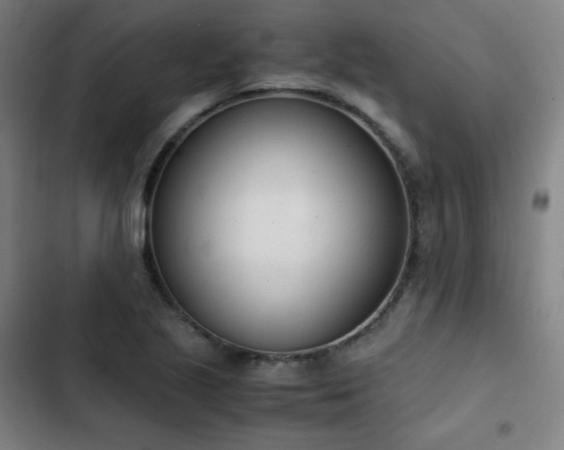 X0000103331221200809051202