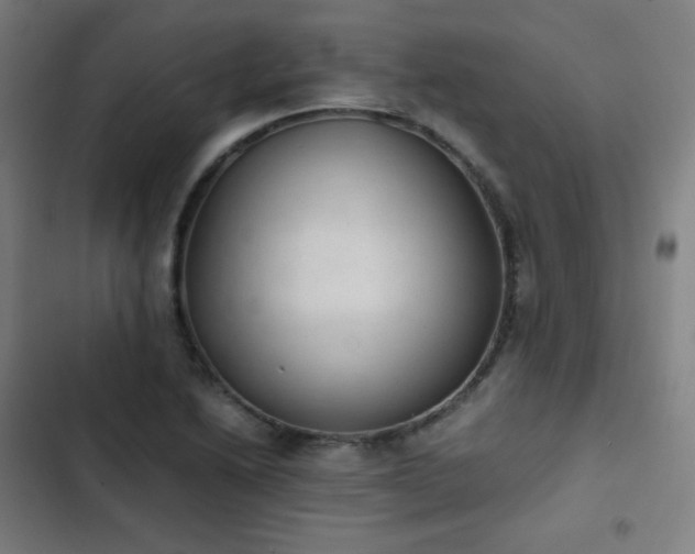 X0000103331222200809051202