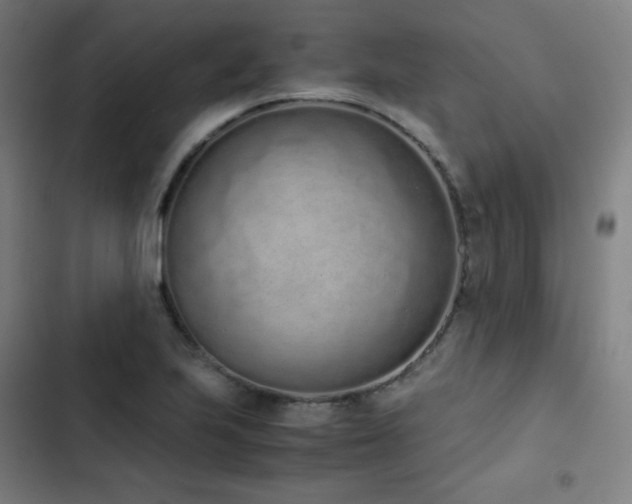 X0000103331223200809051202