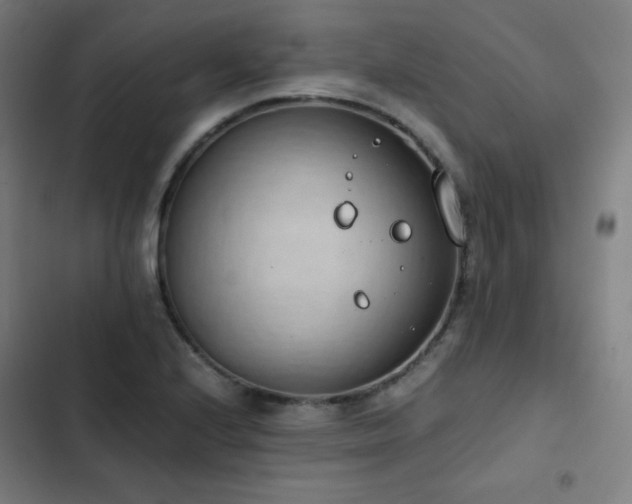 X0000103331224200809051202