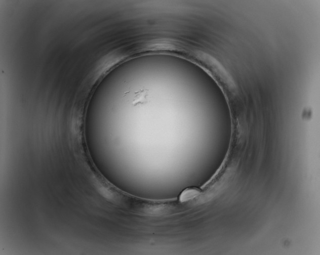 X0000103331225200809051202