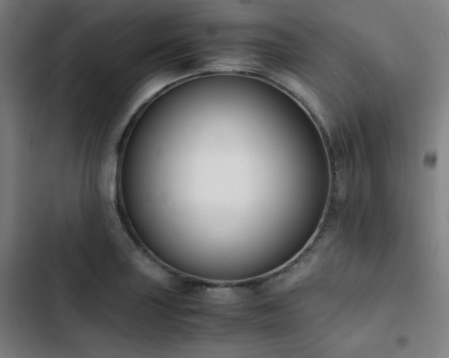 X0000103331227200809051202